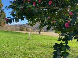 Lovely Renovated Village Property in Area of Natural Beauty with Pyrenean Views